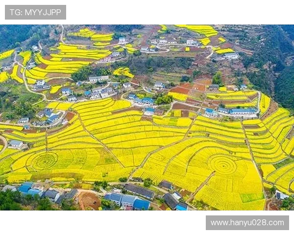 明升体育m88优惠活动不断更新为玩家带来丰富的福利体验